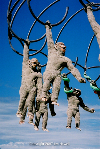 Monkeys2