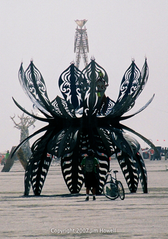 Spider