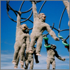 Monkeys2