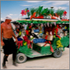 flowerMobile